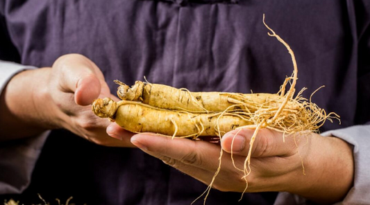 American ginseng