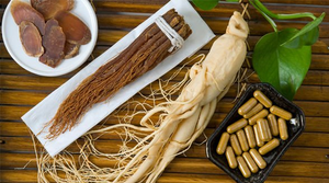 Finding the Best American Ginseng Extract Suppliers: Why Burmeister Ginseng Stands Out