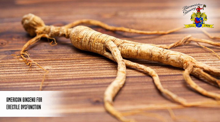 American ginseng root