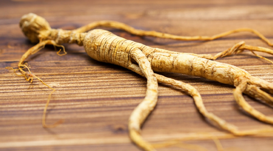 American Ginseng