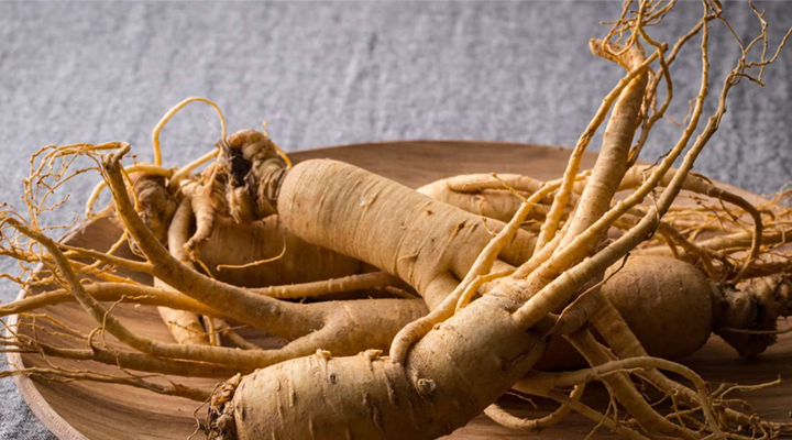 Panax Ginseng