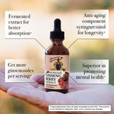 American Ginseng Berry Extract, 2 oz dropper bottle, fermented for better absorption, more ginsenosides per serving
