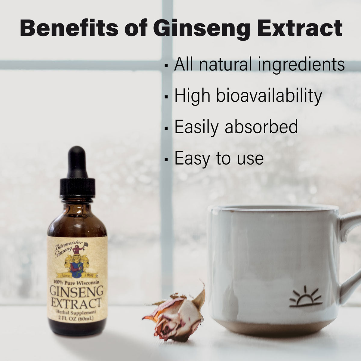 Burmeister Ginseng Extract 2 oz bottle, benefits of extract